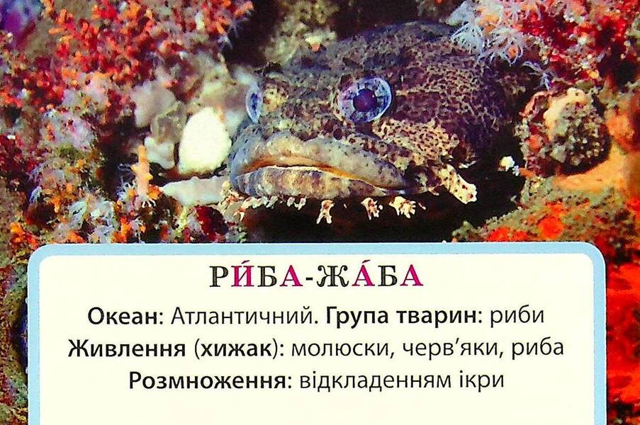 We study water and its properties. A set of didactic materials. 3-4 classes / Досліджуємо воду та її властивості. Набір дидактичних матеріалів. 3-4 класи Татьяна Водолазская, Анна Заставская, Юлия Штанько 4823076149697-6