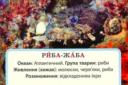 We study water and its properties. A set of didactic materials. 3-4 classes / Досліджуємо воду та її властивості. Набір дидактичних матеріалів. 3-4 класи Татьяна Водолазская, Анна Заставская, Юлия Штанько 4823076149697-6