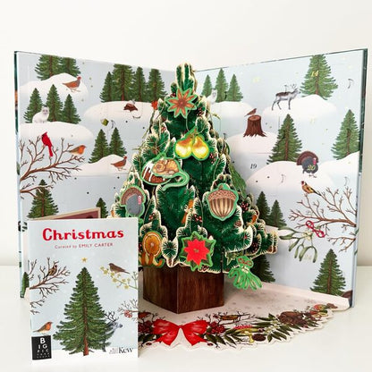 Welcome to the Museum. A Christmas Pop-Up Advent Calendar / Welcome to the Museum. A Christmas Pop-Up Advent Calendar  9781800784369-3