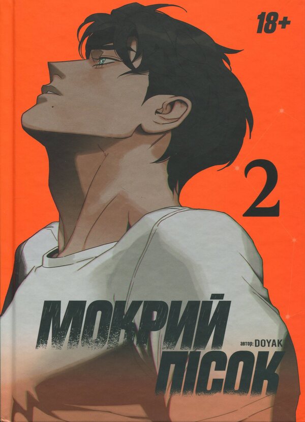 Wet sand. Volume 2 / Мокрий Пісок. Том 2 DOYAK 9786179531927-1