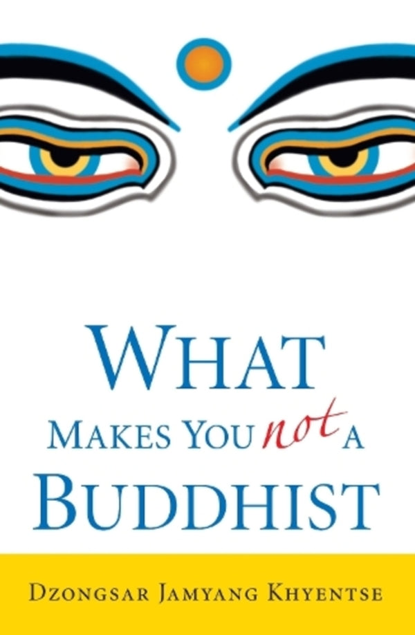 What Makes You Not a Buddhist / What Makes You Not a Buddhist Дзонгсар Джамьянг Кхьенце 9781590305706-1