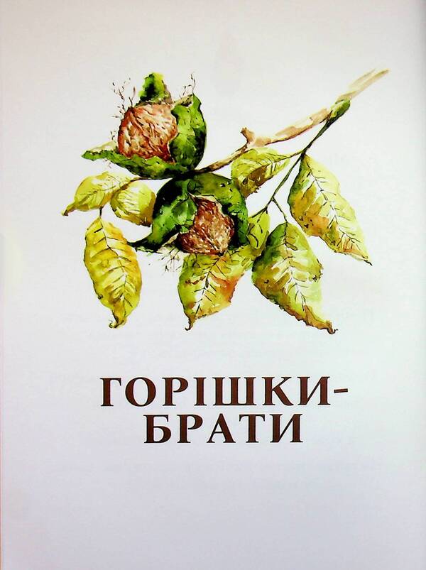 What do nuts dream about? / Про що мріють горішки? Елена Ходюк 9789660743991-4