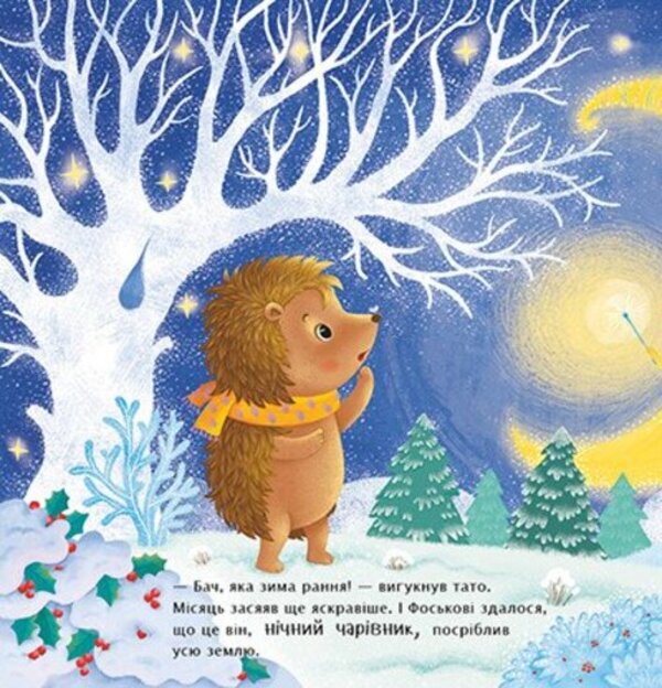 What is winter? / Що таке зима Наталья Мусиенко 978-617-09-9126-3-2