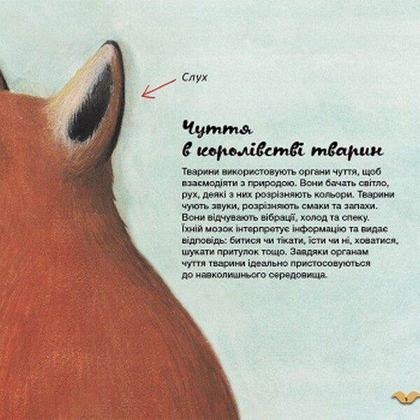 What sense organs do animals have? / Які органи чуття у тварин? Алехандро Альгарра 978-617-09-6401-4-4