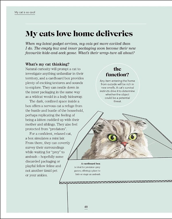 Whats My Cat Thinking? Understand Your Cat To Give Them A Happy Life Joe Lewis - Джо Льюис 9780241500934-4