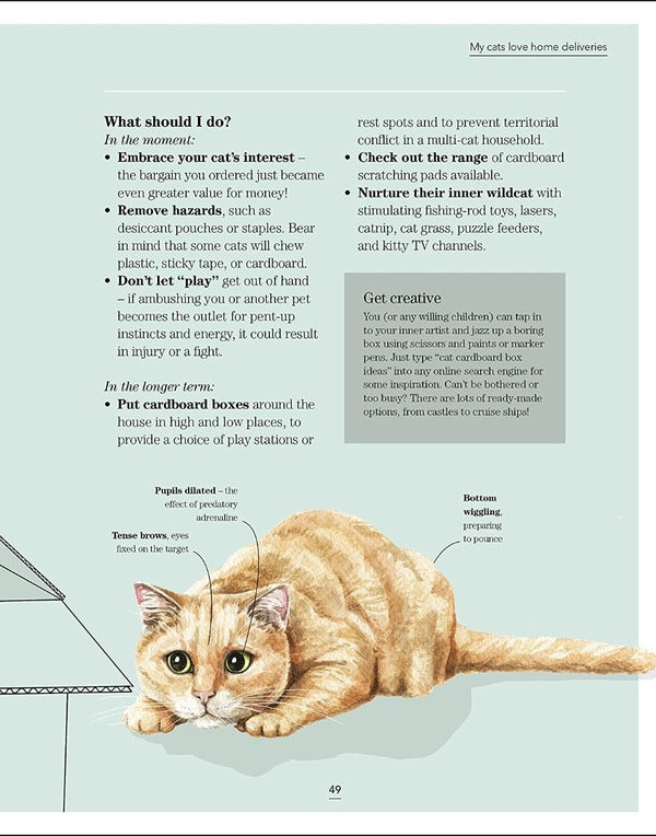 Whats My Cat Thinking? Understand Your Cat To Give Them A Happy Life Joe Lewis - Джо Льюис 9780241500934-5