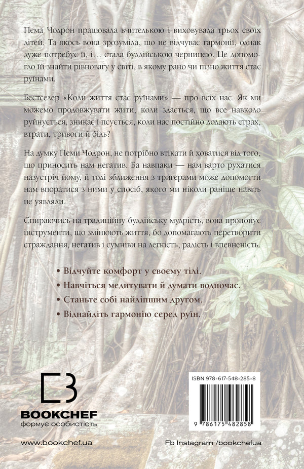 When Life Becomes Ruins. Effective Advice For Difficult Times / Коли життя стає руїнами. Дієві поради для важких часів Pema Chodron / Пема Ходрон 9786175482858-2