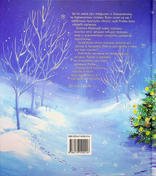 Where did Christmas go? / Куди зникло Різдво Хелена Кральич 9786178100216-2