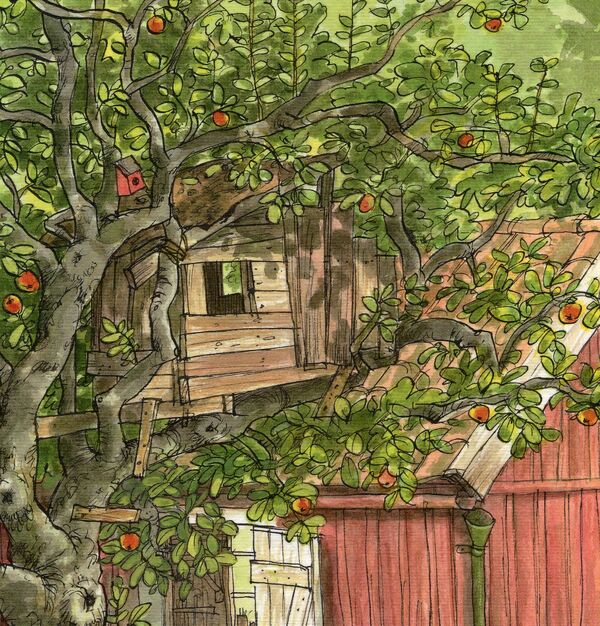 Where is Petson? / Де це Петсон? Свен Нурдквист 978-966-10-5002-9-4