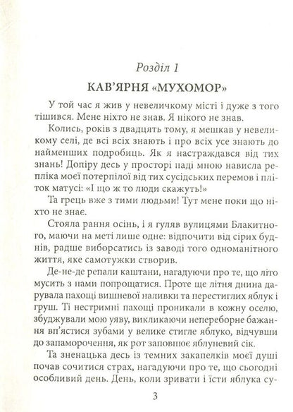 Where to put the saint / Куди подіти святого Соломия Зеленская 978-966-8448-12-6-3