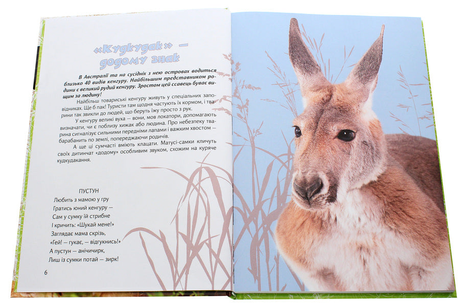 Whiskers and lapwings. Reader about animals / Вусохвості й лапокрилі. Читанка про тварин Владимир Верховень 978-966-935-948-3-4