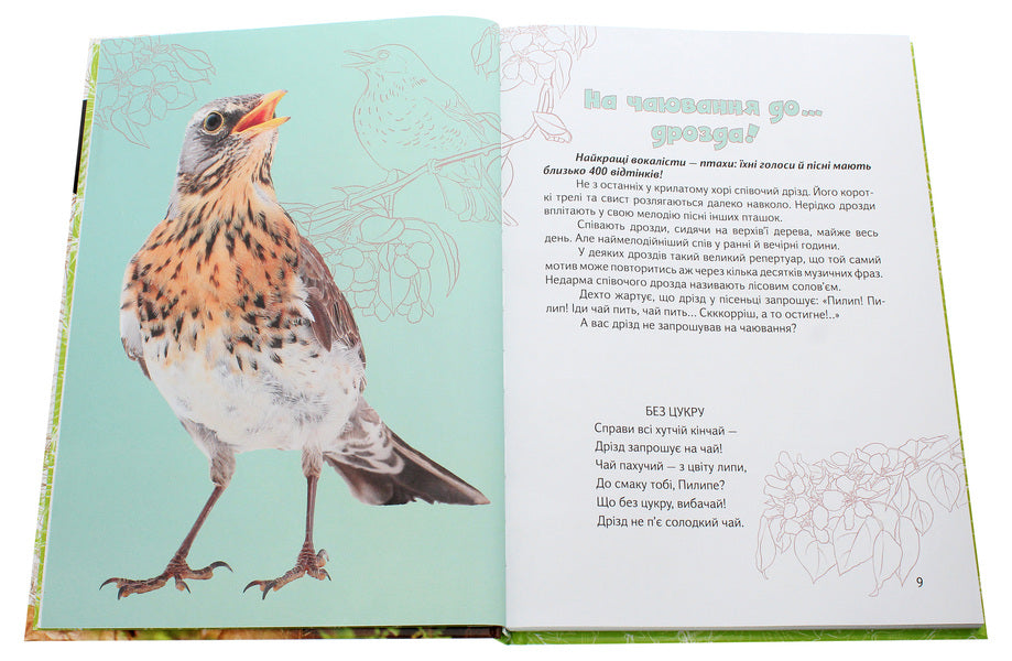 Whiskers and lapwings. Reader about animals / Вусохвості й лапокрилі. Читанка про тварин Владимир Верховень 978-966-935-948-3-5