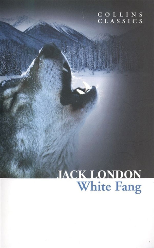 White Fang Jack London / Джек Лондон 9780007558124-2