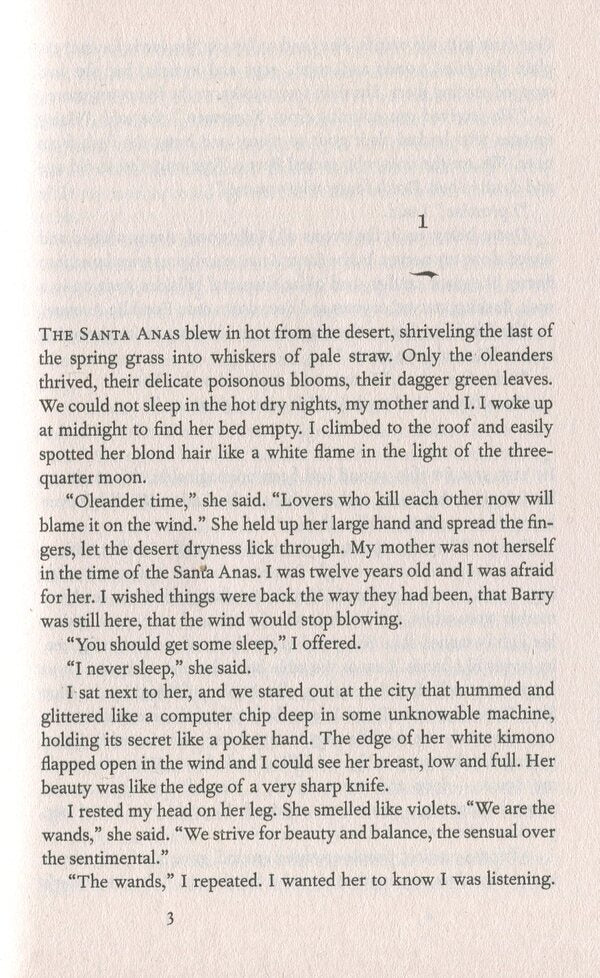 White Oleander Janet Fitch / Джанет Фитч 9781860498046-4
