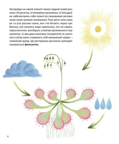 Who Are Carnivorous Plants? / Хто такі хижі рослини? Alexey Kovalenko / Олексій Коваленко 9789664486344-2