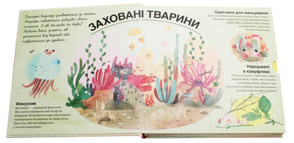 Who Is Hiding Among The Leaves And In The Water? - Хто ховаться мж листям й у вод? Pavel Ganachkov - Павла Ганачкова 9786177563999-4