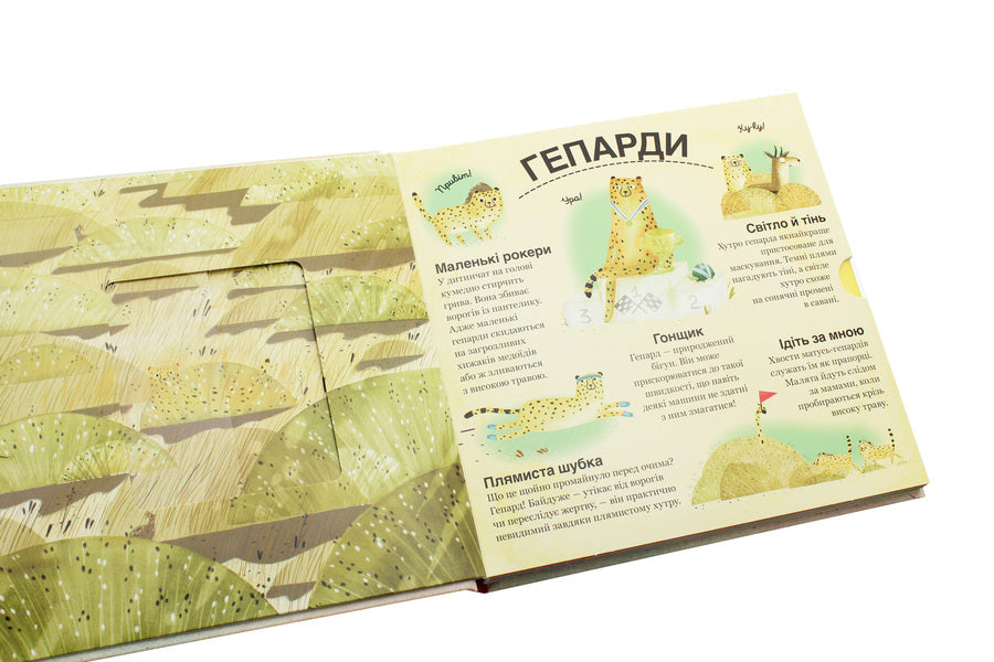 Who Is Hiding Among The Leaves And In The Water? - Хто ховаться мж листям й у вод? Pavel Ganachkov - Павла Ганачкова 9786177563999-5