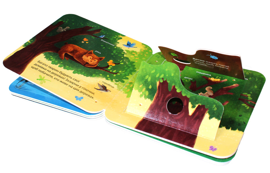 Who lives in the forest? / Хто живе у лісі? Джей Гарнетт 978-617-15-0284-0-5