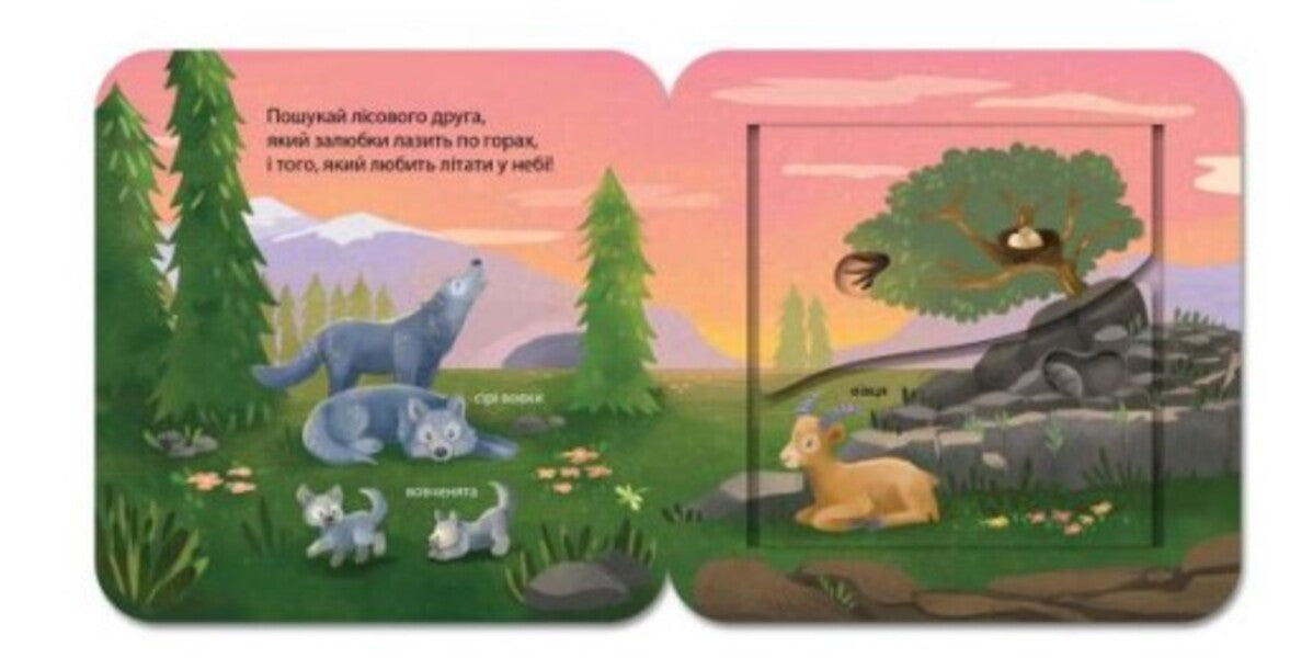 Who lives in the forest? / Хто живе у лісі? Джей Гарнетт 978-617-15-0284-0-6