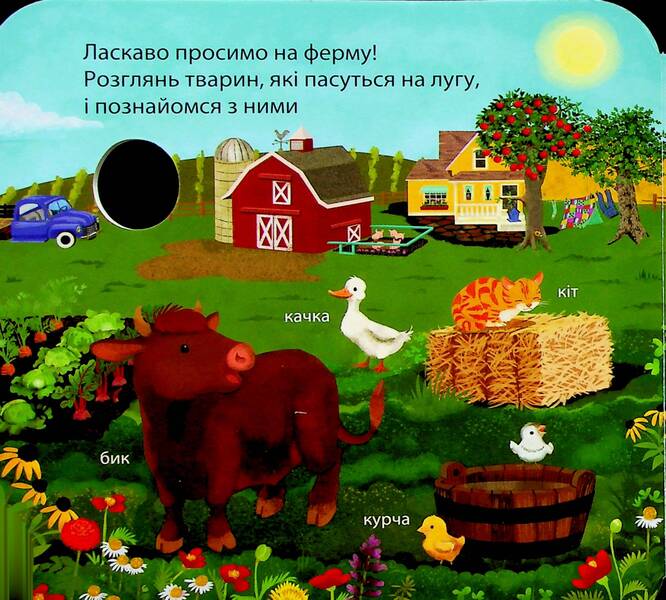 Who lives on the farm? / Хто живе на фермі? Джей Гарнетт 978-617-15-0283-3-5