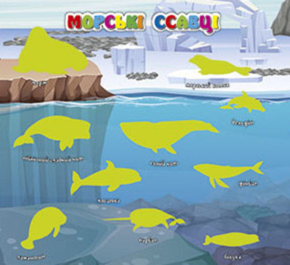 Who lives where? Animals of the world. Blue / Хто де живе. Тварини світу. Блакитна  978-617-809-028-9-3