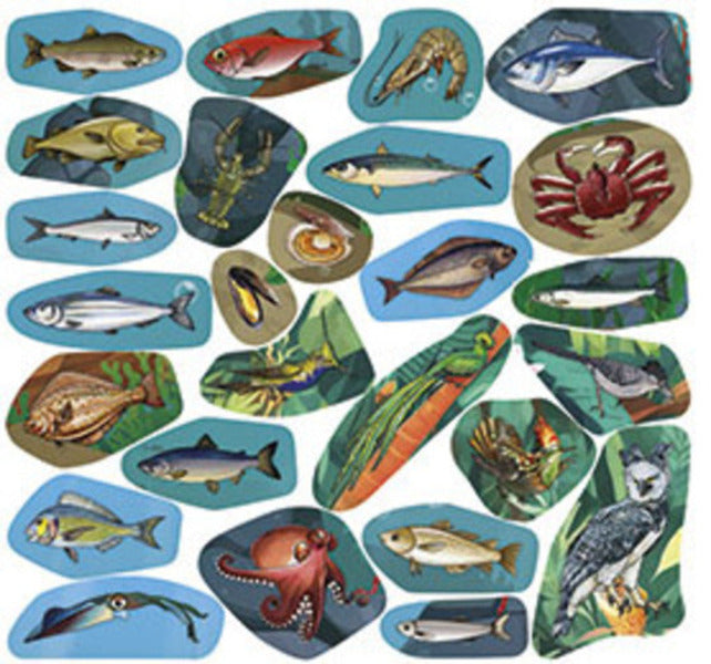 Who lives where? Animals of the world. Blue / Хто де живе. Тварини світу. Блакитна  978-617-809-028-9-4