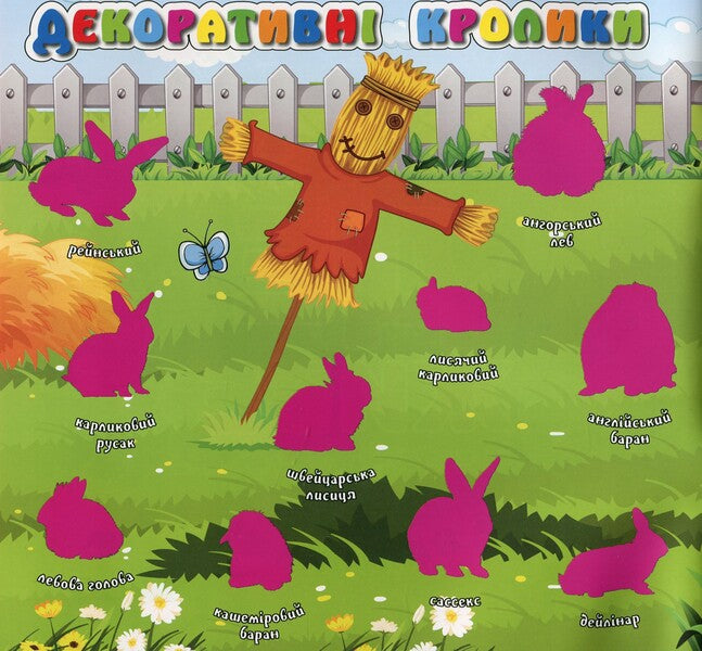 Who lives where? Pets. Pink (+ stickers) / Хто де живе. Домашні улюбленці. Рожева (+ наліпки)  978-617-8090-42-5-3