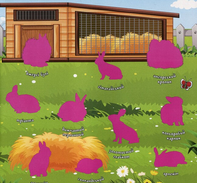 Who lives where? Pets. Pink (+ stickers) / Хто де живе. Домашні улюбленці. Рожева (+ наліпки)  978-617-8090-42-5-4