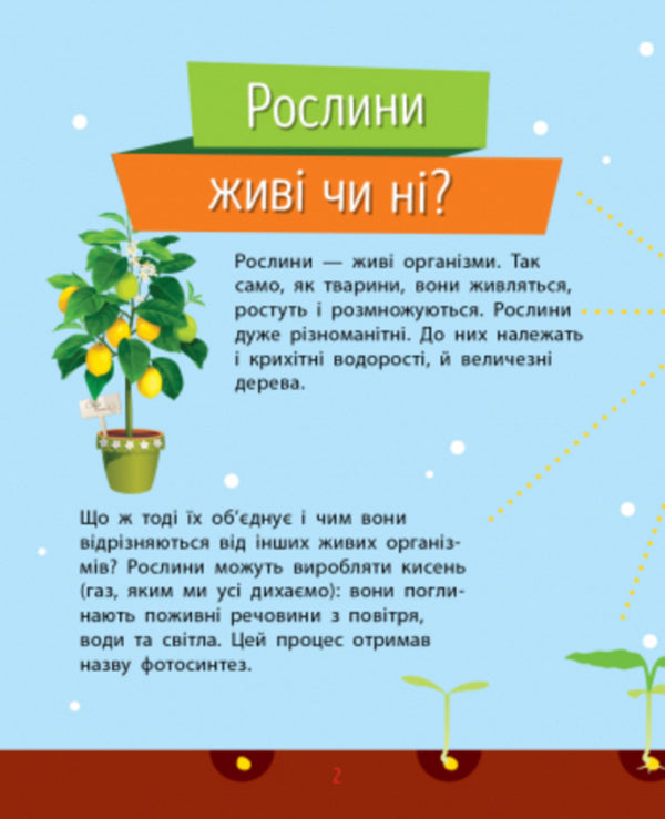 Why? Plants / Чомусики. Рослини Анна Булгакова 978-617-09-3783-4-4