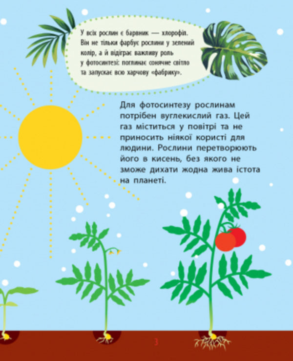 Why? Plants / Чомусики. Рослини Анна Булгакова 978-617-09-3783-4-5