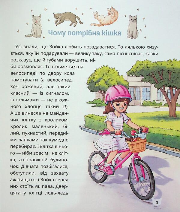 Why a cat is needed / Чому потрібна кішка Галина Пустовгар 9786178177522-4
