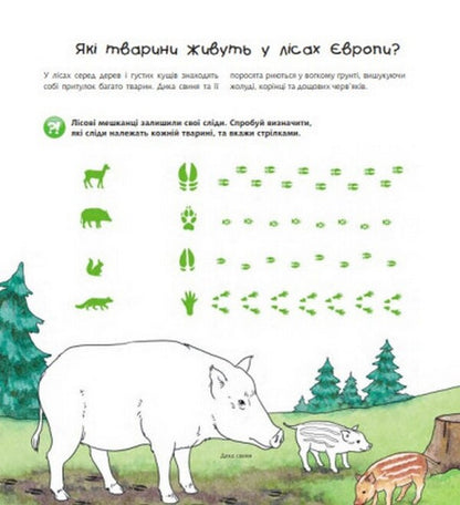 Why? of what Why? Animals of the world. Interactive book. 4-7 years old / Чому? Чого? Навіщо? Тварини світу. Інтерактивна книжка. 4-7 років  978-966-10-8473-4-2