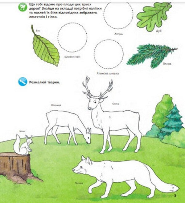 Why? of what Why? Animals of the world. Interactive book. 4-7 years old / Чому? Чого? Навіщо? Тварини світу. Інтерактивна книжка. 4-7 років  978-966-10-8473-4-3