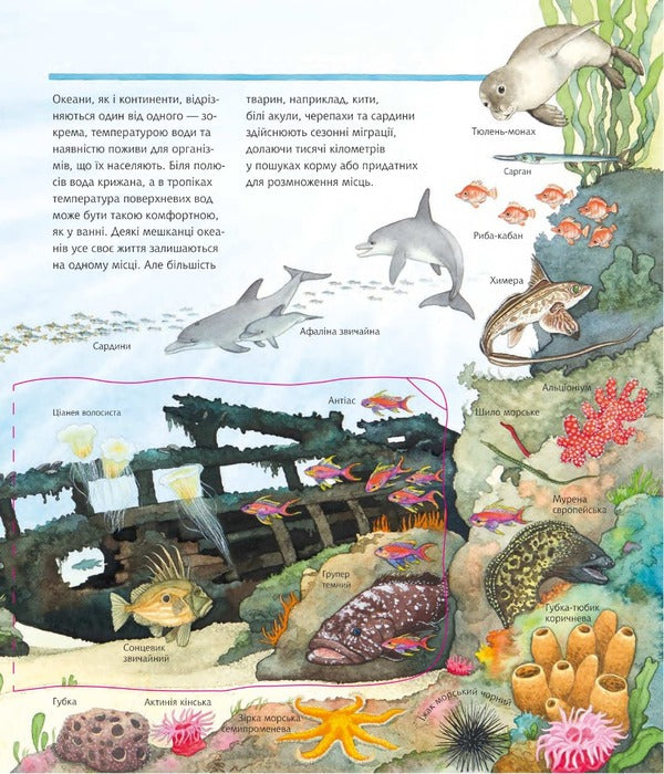 Why? of what Why? We study marine animals. 4-7 years / Чому? Чого? Навіщо? Досліджуємо морських тварин. 4-7 роки Андреа Эрне 978-966-10-6800-0-3
