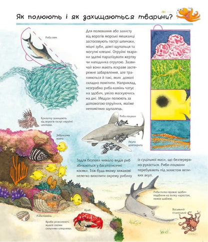 Why? of what Why? We study marine animals. 4-7 years / Чому? Чого? Навіщо? Досліджуємо морських тварин. 4-7 роки Андреа Эрне 978-966-10-6800-0-5