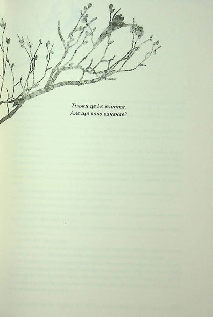 Wicked from the shadow / Зіткана з тіні Дженнифер Бенкау 978-617-8373-84-9-6