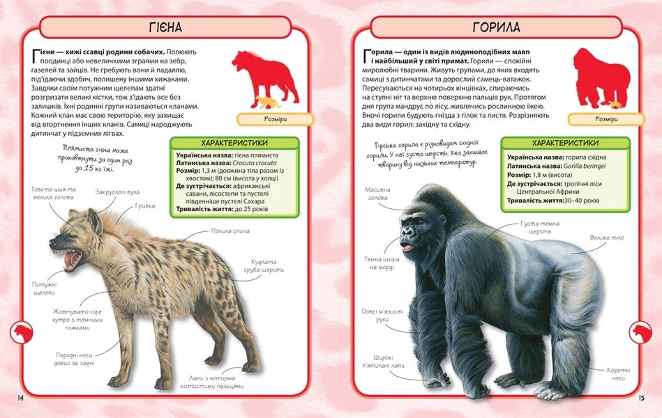 Wild Animals. 50 Most Famous Species: Mini-Encyclopedia / Дикі тварини. 50 найвідоміших видів: міні-енциклопедія / Author not specified 9789669482907-4