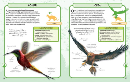 Wild Animals. 50 Most Famous Species: Mini-Encyclopedia / Дикі тварини. 50 найвідоміших видів: міні-енциклопедія / Author not specified 9789669482907-5