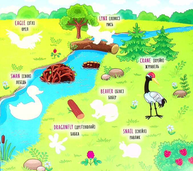 Wild Animals. Wild Animals (+ Stickers) / Дикі тварини. Wild Animals (+ наліпки) / Author not specified 9786175440810-4