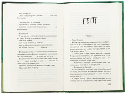 Wild girls / Дикі дівчата Рори Пауэр 978-617-17-0765-8-6