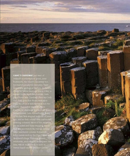 Wildlife Of Britain And Ireland / Author not specified 9780241569597-3