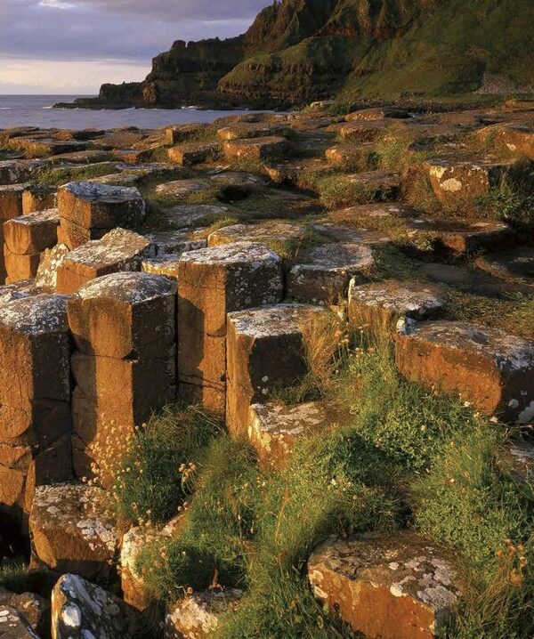 Wildlife Of Britain And Ireland / Author not specified 9780241569597-4