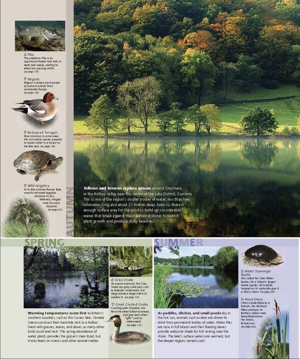 Wildlife Of Britain And Ireland / Author not specified 9780241569597-5