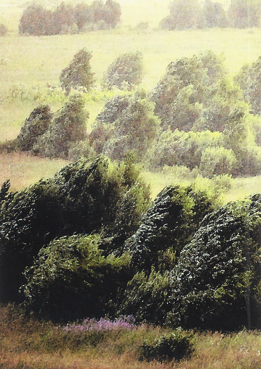 Wind from Volyn (memoirs) / Вітер з Волині (спогади) Михаил Подворняк 978-611-01-1917-7-2