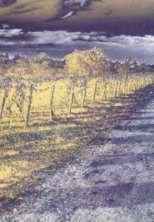 Wine of life. Selected for Selected Poems 1965-1969. In the author's original manuscripts / Вино життя. Вибране для вибраних з поезій за 1965-1969 роки. В оригінальних манускриптах автора Никита Мандрыка 978-611-01-2123-1-2