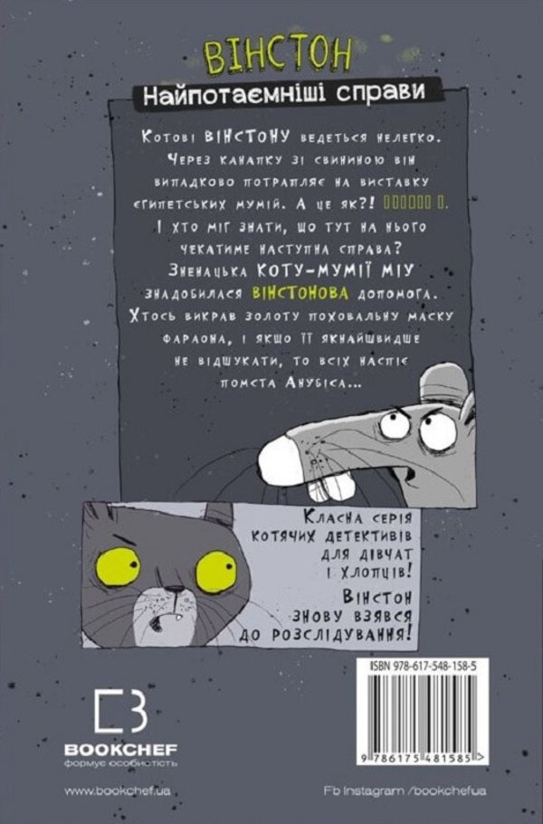 Winston. Most Secret Affairs (a set of two books) / Вінстон. Найпотаємніші справи (комплект із двох книг) Фрауке Шойнеманн 978-617-548-158-5, 978-617-548-219-3-3