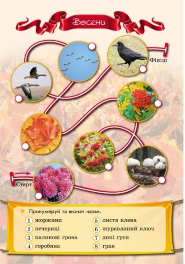 Winter Exercises For Every Day Of The Holidays 1St Class - Зимов вправи на кожний день канкул 1 клас Inna Efimova - нна фмова 9786170926517-6