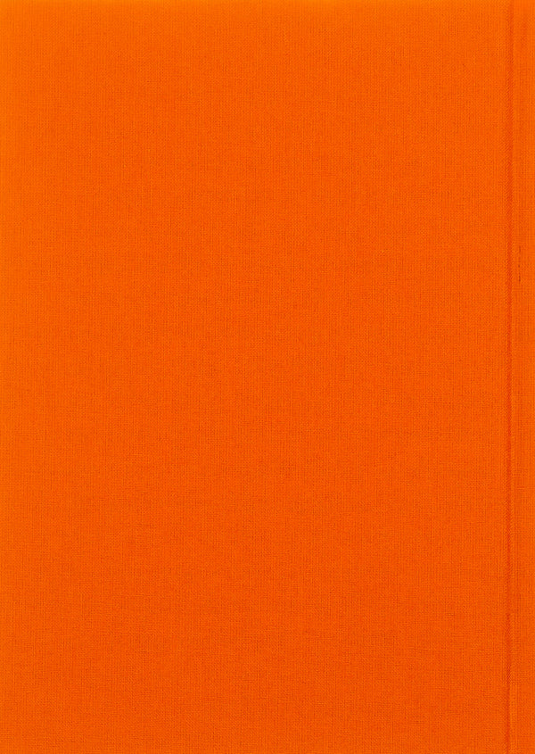 Winter in Tysmenytsia / Зима в Тисмениці Олег Лишега 978-617-585-066-4-2