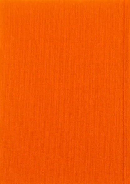 Winter in Tysmenytsia / Зима в Тисмениці Олег Лишега 978-617-585-066-4-2