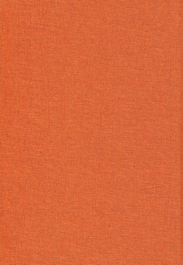 Winter in Tysmenytsia / Зима в Тисмениці Олег Лишега 978-617-585-066-4-5